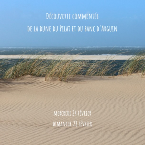 Découverte de la Dune du Pilat